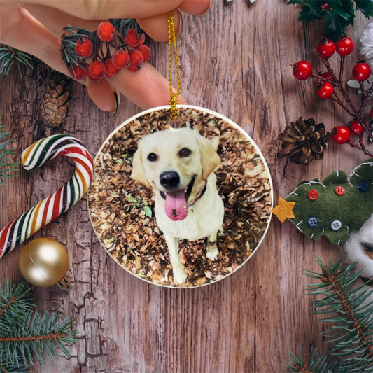 Personalise Your Own Bauble Ornament